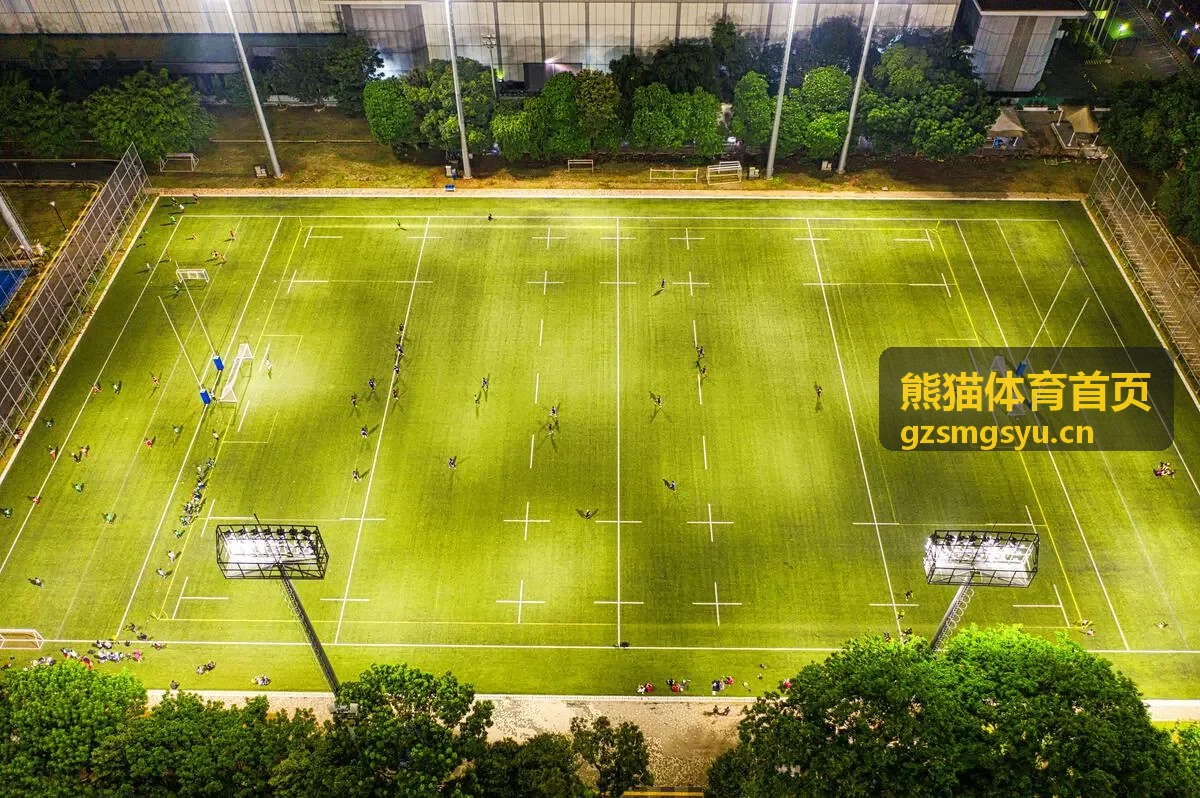 熊猫体育首页运动课堂力量塑形专题