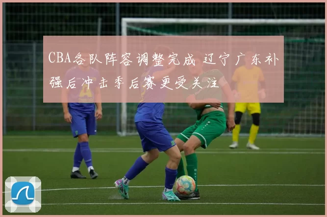 CBA各队阵容调整完成 辽宁广东补强后冲击季后赛更受关注